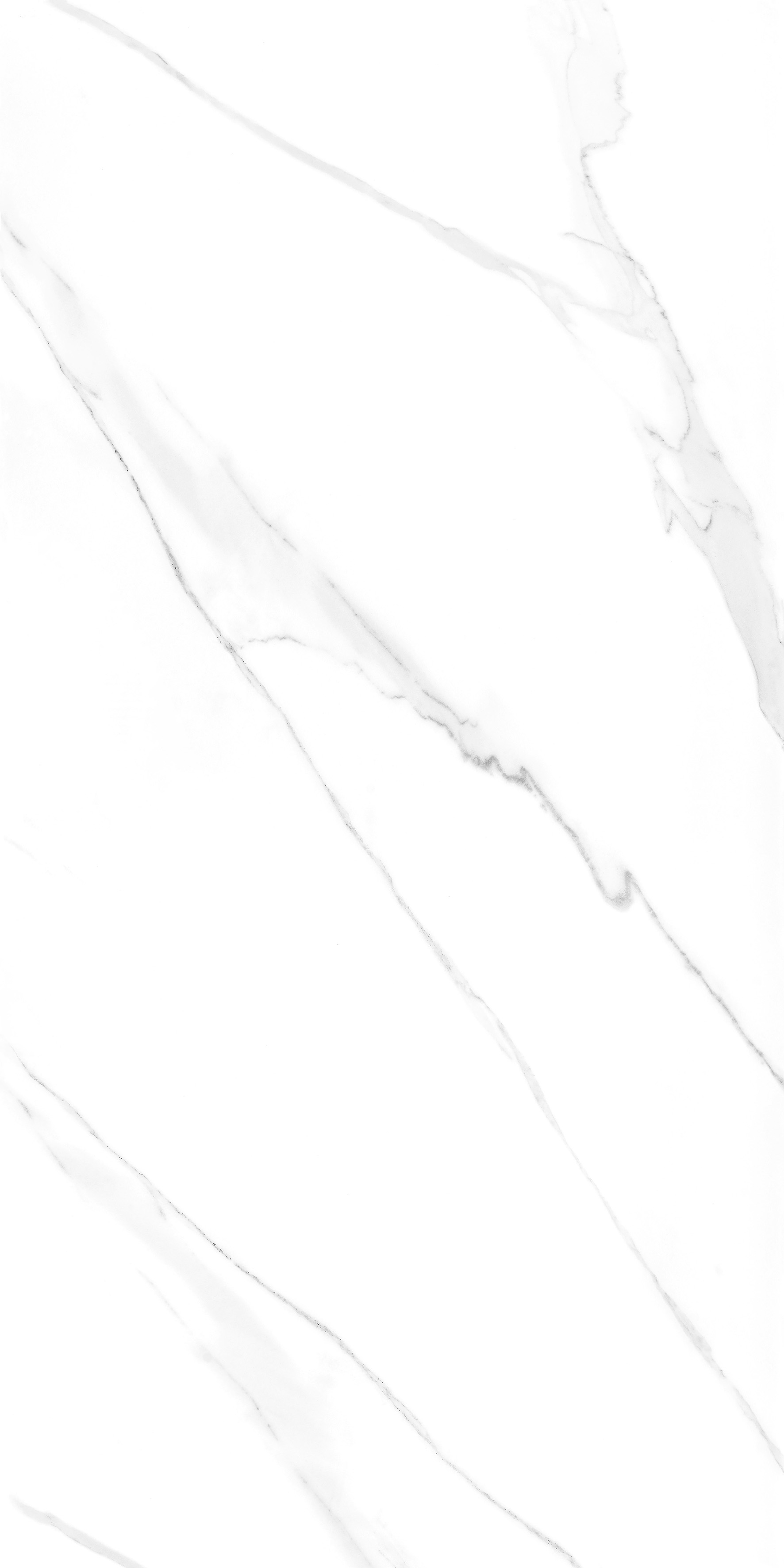 Porcelain Tile 60x120 NEO STATUARIO ( MATT)